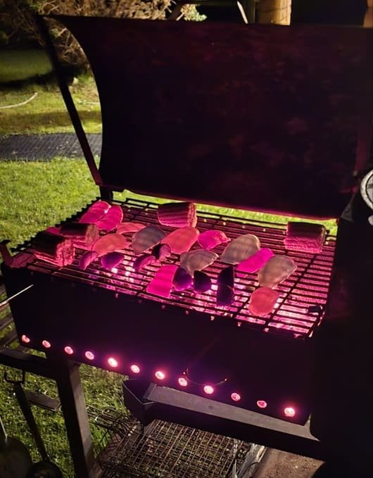 Sodyba bernvakariams