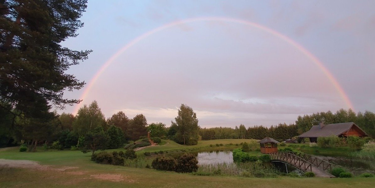 Gėlynai ir tvenkinys vasarą