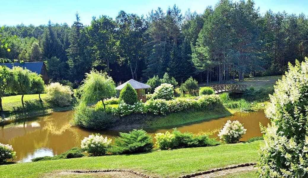 Gėlynai ir tvenkinys vasarą