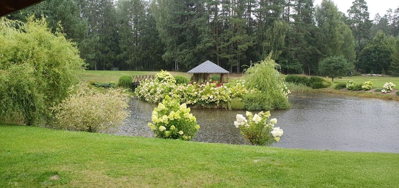 Užšalęs tvenkinys žiemą