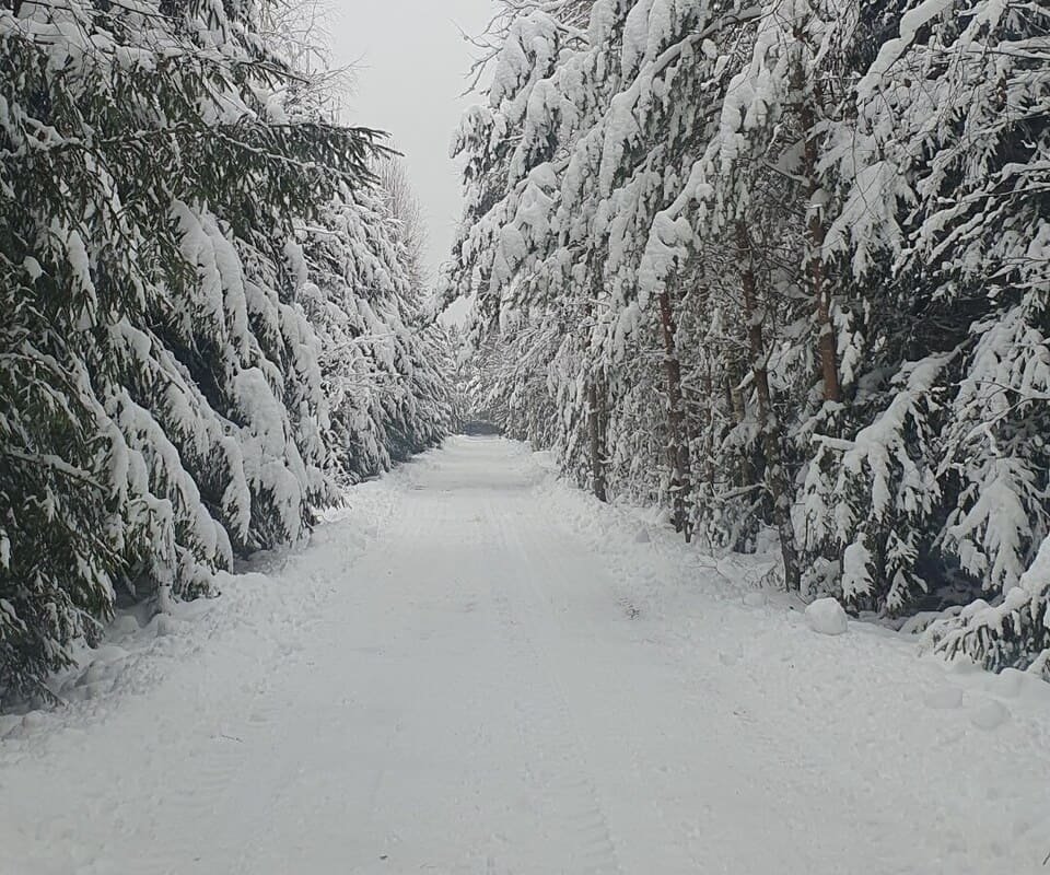 Kelias į sodybą žiemą